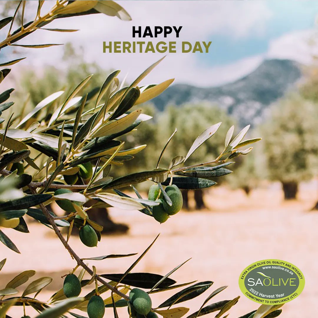 SA Olive (@SAOliveIndustry) / Posts / X