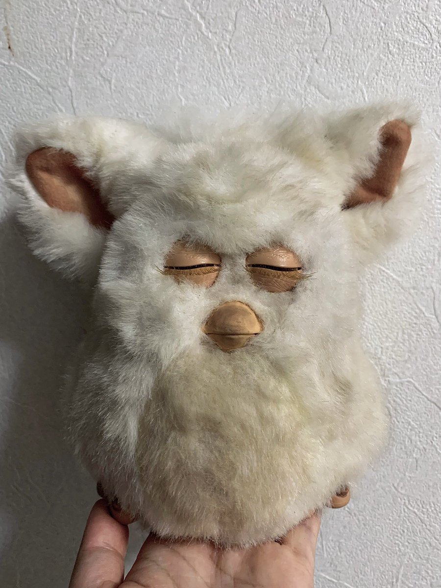 帰宅。 はい、本日リサイクルショップでお迎えした不可動のシュガー