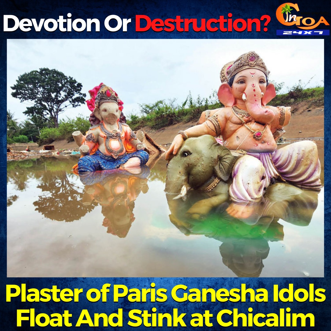 InGoa24x7's tweet photo. Devotion Or Destruction?: POP Ganesha Idols Float And Stink. Chicalim panch Neelam Naik takes initiative to re-immerse about 50 POP idols
WATCH : https://t.co/pqIm6JMwwn
#goa #goanews #devotion #destruction #undissolved #ganesh #idols #chicalim https://t.co/3U3MX4NuSh