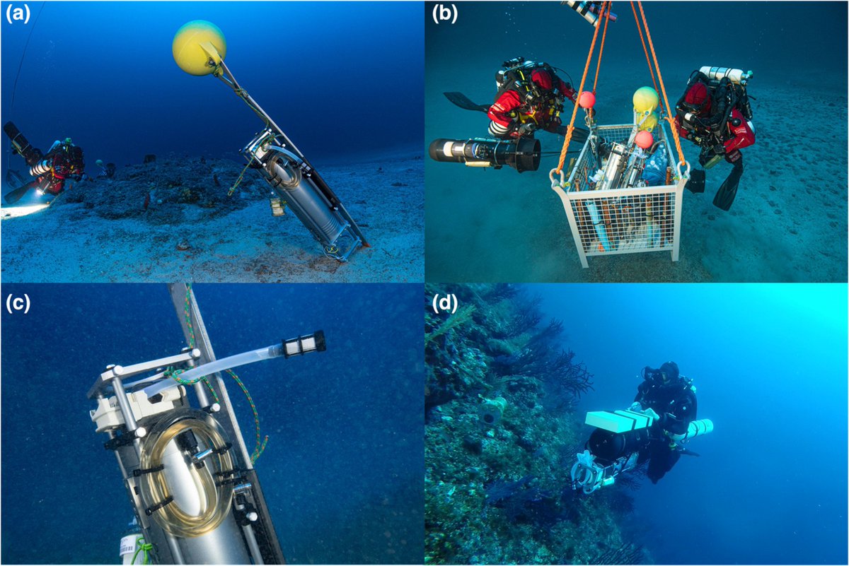 We tested a submersible standalone pumping device allowing targeted marine water filtering for #eDNA collection to explore the #biodiversity of two mesophotic ecosystems in the Mediterranean Sea and Western Indian Ocean. doi.org/10.1002/edn3.3…