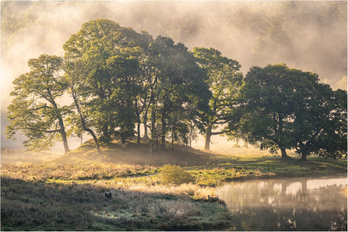 MPLandscapes's tweet photo. Down by the river - a lovely morning on the Brathay #capturewithconfidence https://t.co/Xx0r1h2BuG