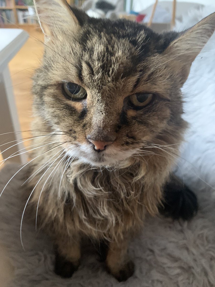 <a href="/Cookies_Welten/">Cookie 😻</a> Liebe Grüße von der alten Dame