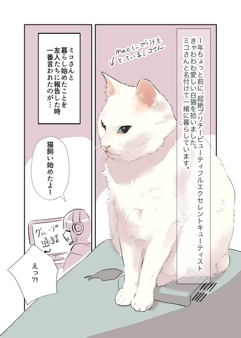 白い猫と暮らしている漫画⑤ですどこからでも読めますだいぶお久しぶりになってしまった#ペット漫画 #猫エッセイ 