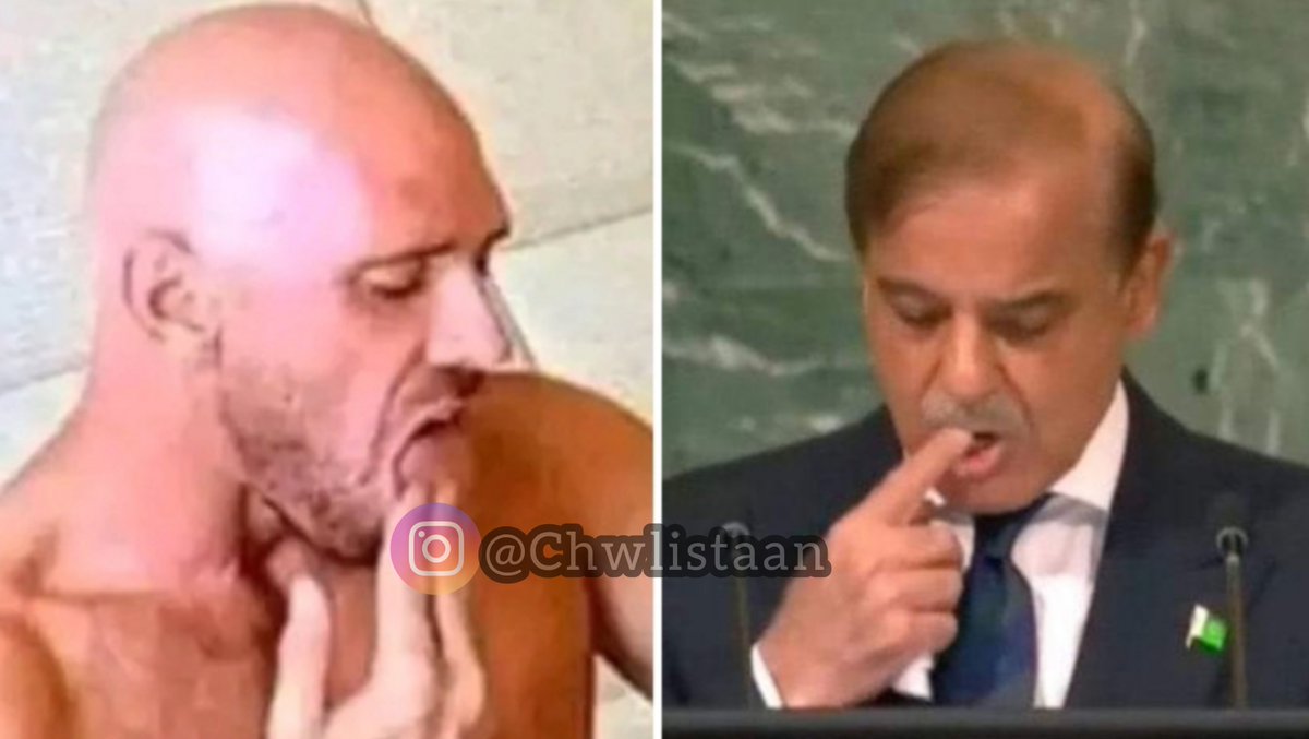 Every Masterpiece Has It's Cheap & Dirty Copy 🤧😂 #ShehbazSharif