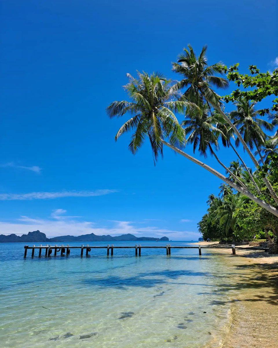 𝐖𝐡𝐨 𝐰𝐨𝐮𝐥𝐝 𝐲𝐨𝐮 𝐥𝐢𝐤𝐞 𝐠𝐨 𝐨𝐧 𝐚 𝐁𝐞𝐚𝐜𝐡𝐰𝐚𝐥𝐤 𝐰𝐢𝐭𝐡? 
Thank you for the 📷: @galfrmpalAnd  
#philippines #island 🏝
#islandgirl #palmtrees #Beachwalk #beaches #island #islandsofadventure #corals #trip  #beachbabe #weathertodoay  🌴<a href="/elnidotourism/">El Nido Tourism</a>