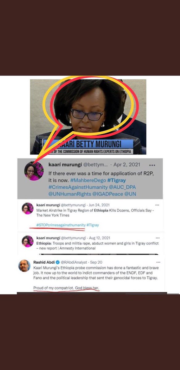 RedwanHussien's tweet photo. Though all the Shenanigans way before ICHREE were already too apparent, what made this lady eligible is interesting.The rest is a forgone conclusion. It would have made a complete sense had  others in the league: Tronvolt, Reshid, Martin Plaut and Alex De Waal  been counted in. https://t.co/JCi1i3mSCa