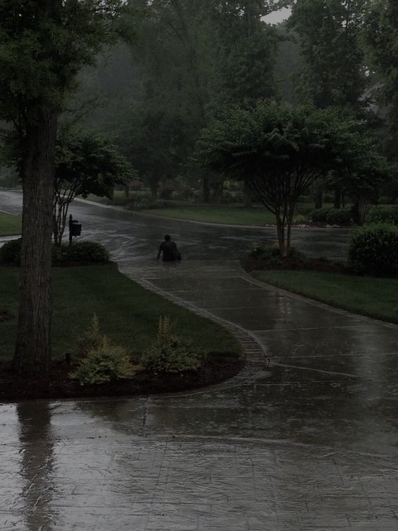 gIoomyweather's tweet photo. crying in the rain https://t.co/Caum5m6cPG