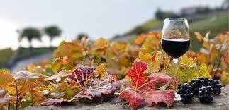 Next up! We're celebrating autumn and October with great new selections and events. Join us today (Sat.,12n-4pm; no fee) as we pour French delights. conta.cc/3SlHUYj