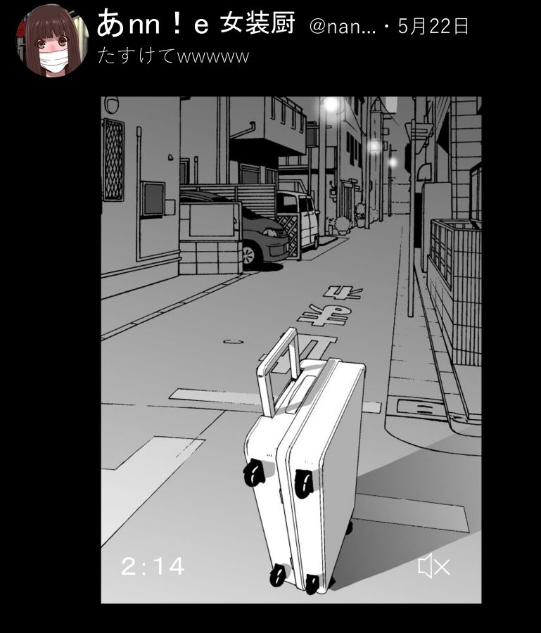 深夜にポツンと置かれた住宅街の道路上でスーツケースがガタガタ揺れてるだけの謎の動画が投稿された・・・ 