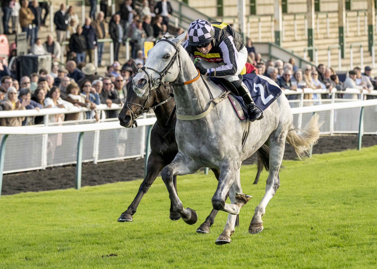 Fontwell Park (@fontwellpark) on Twitter photo RACE 7 RESULT – The Follow Vickers.Bet On Twitter Open National Hunt Flat Race
🥇 Tapley
🥈 Fortuna Ligna
🥉 Proper Twelve
Jockey: Charlie Hammond
Trainer: Suzy Smith
Owner: The Plumpton Party
📸: <a href="/dcoolimages/">Darren Cool Images</a> RACE 7 RESULT – The Follow Vickers.Bet On Twitter Open National Hunt Flat Race
🥇 Tapley
🥈 Fortuna Ligna
🥉 Proper Twelve
Jockey: Charlie Hammond
Trainer: Suzy Smith
Owner: The Plumpton Party
📸: <a href="/dcoolimages/">Darren Cool Images</a>