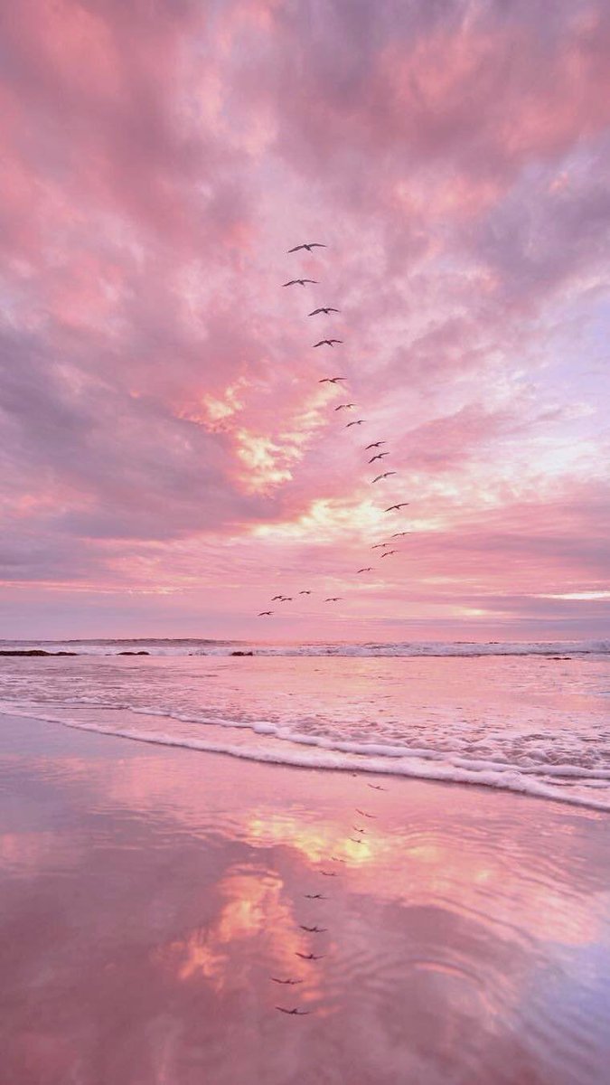 pink skies <3
