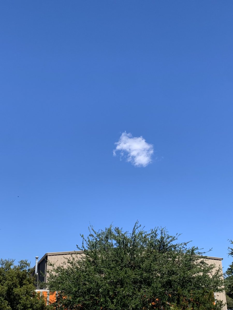 Barely a cloud in the sky after #HurricaneIan Beautiful day to stop by New Life Cardio Equipment! Come see these #scary good deals! Newlifecardioequipment.com SHIPPING TO ALL OF CONTINENTAL U.S. Use code DKM75 @ checkout to save even more!
#runsav #walksav #rowsav #stayfit #staysafe