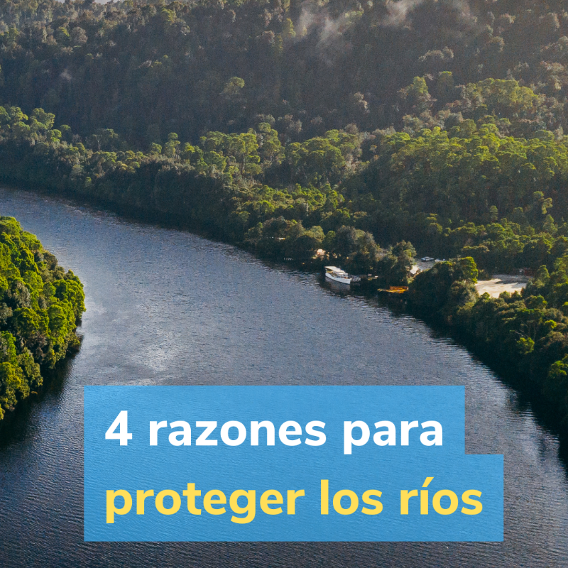 unep_espanol's tweet photo. ¿#SabíaQue cerca de 1/3 de todos los ríos en América Latina, África y Asia se ven gravemente afectados por la contaminación?

Lee más sobre por qué es vital proteger nuestros ríos y qué hace el PNUMA por su restauración.
#GeneraciónRestauración
https://t.co/8c48S6kPvv