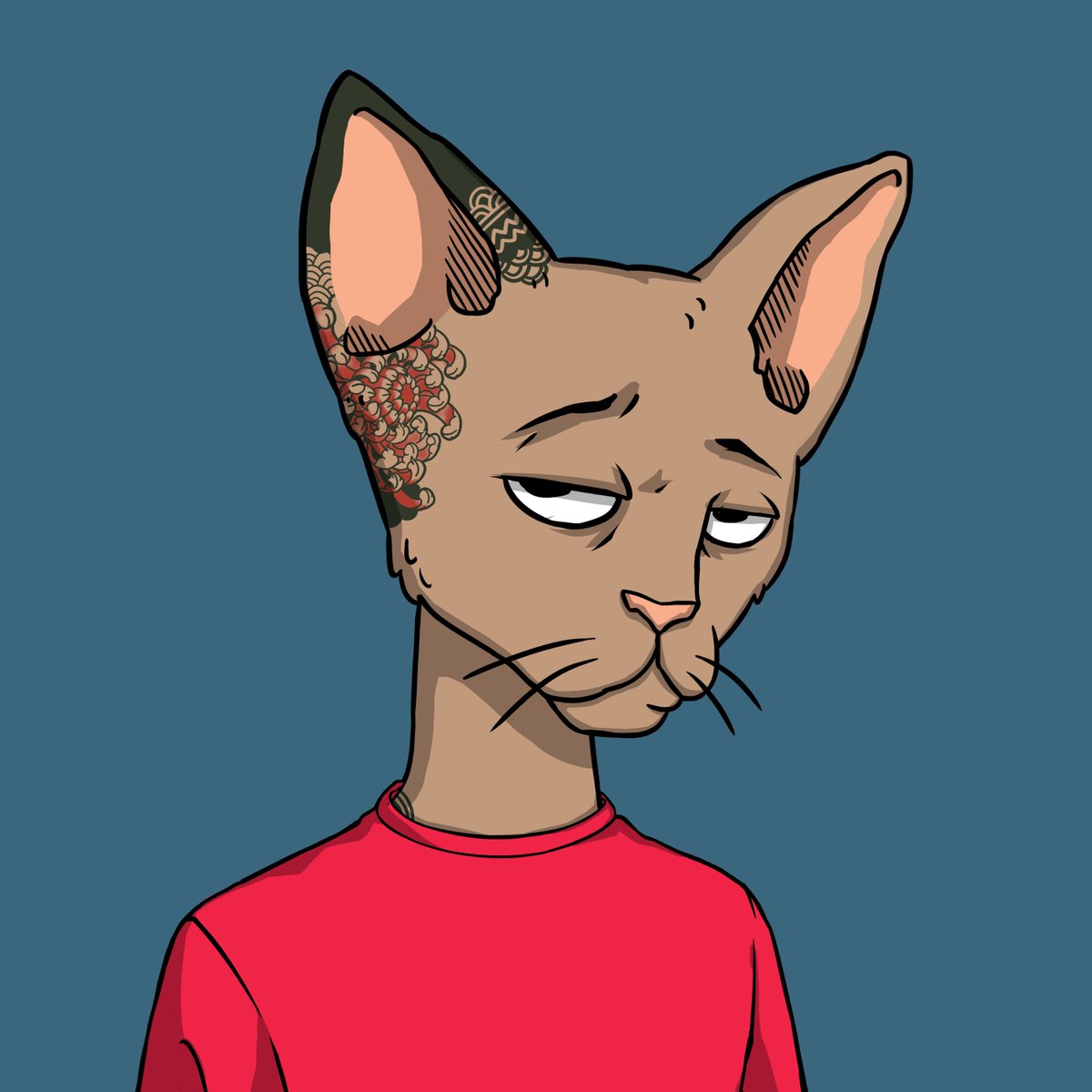 Legendaryy's tweet image. Gm! Started a poll on what Solana community to join. More than 90% voted for @CetsOnCreck and the @CetsCommunity. Quite the strong result, so I acted on it. Where are my fellow Cets?