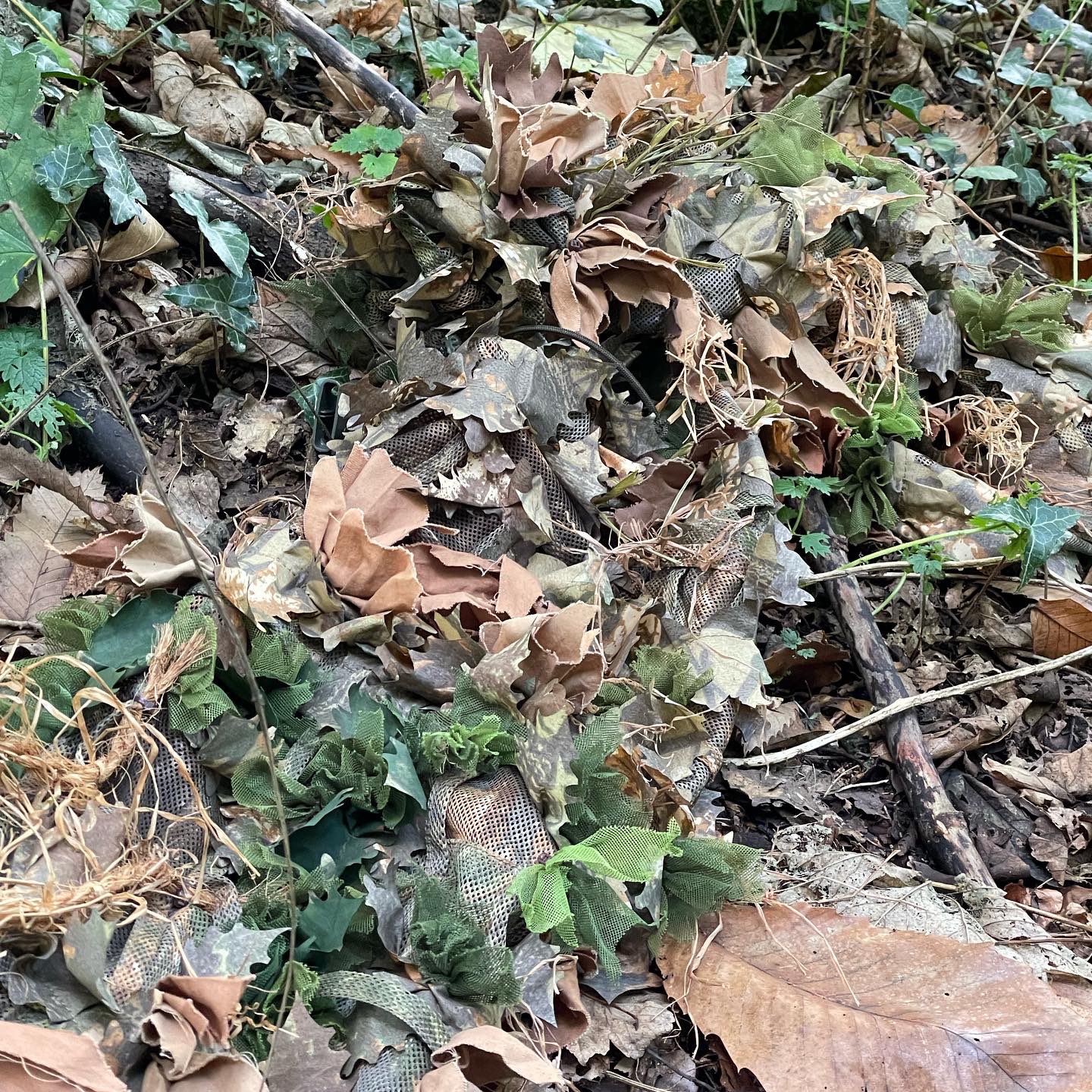 kickingmustang on Twitter "🍂 https//t.co/JBSAetBRAr" / Twitter