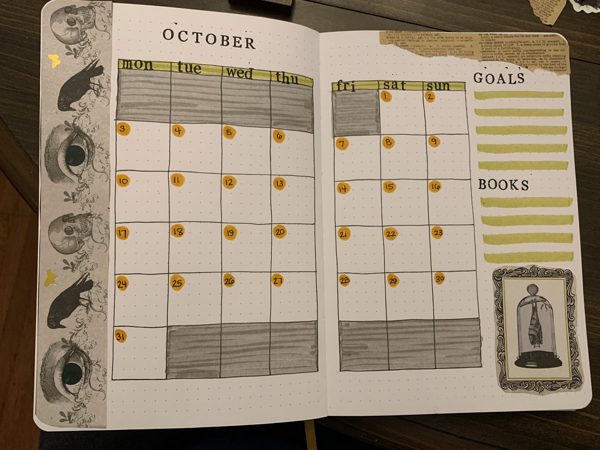 Caitlin Foley tweet media