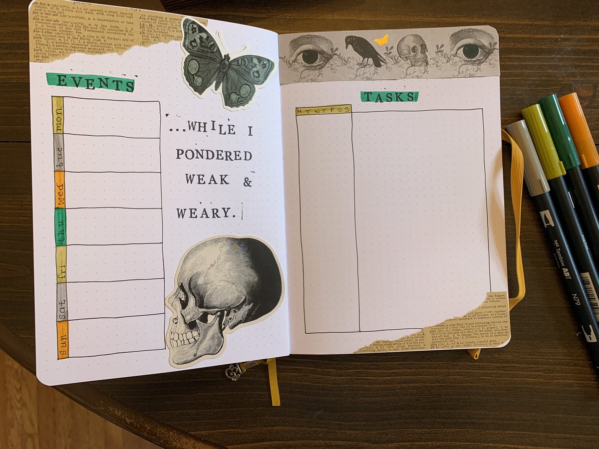 Caitlin Foley tweet media