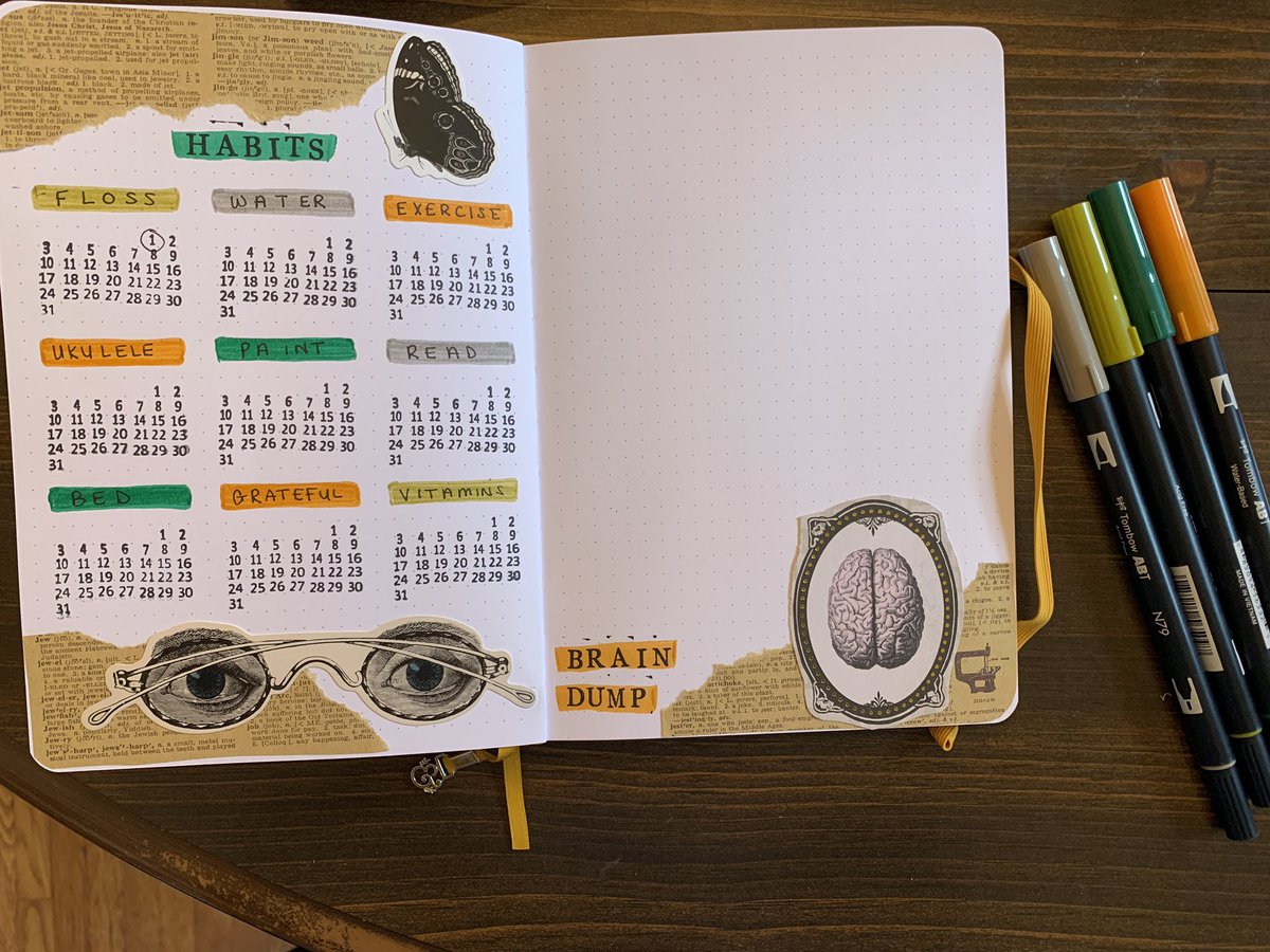 Caitlin Foley tweet media