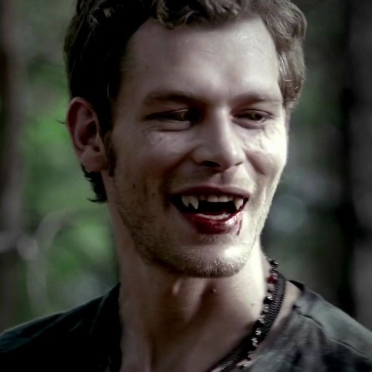 cris_mikaelson's tweet image. Klaus Mikaelson, te voy a extrañar toda la vida.