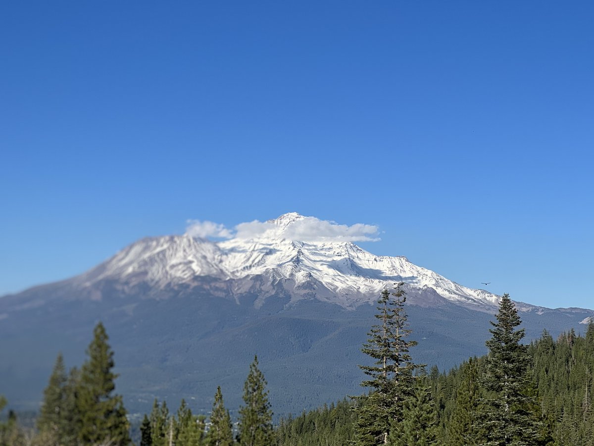 Cold Creek Inn tweet media