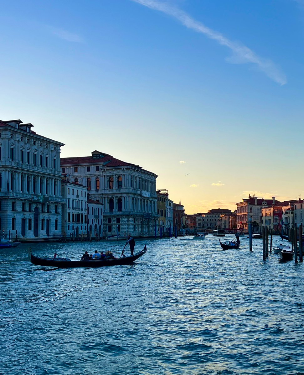 Dario⚡️ tweet media