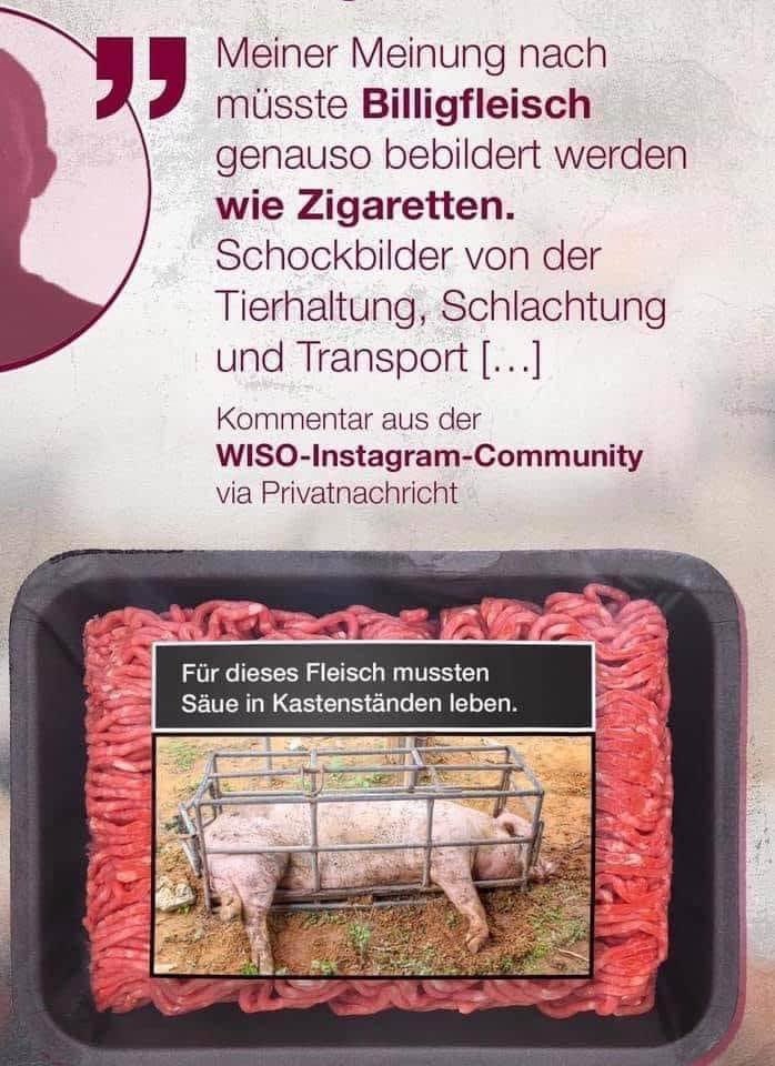 meiner Meinung nach :