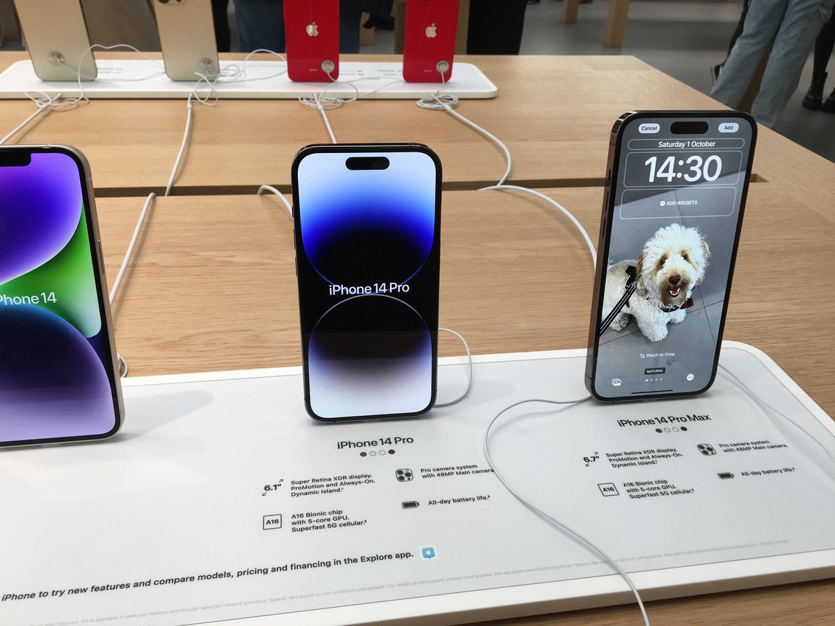 Just checking out the <a href="/Apple/">Apple</a> shop <a href="/appleshopcom/">AppleShopaholic.com</a> what a #cutedoggy on the screensaver! 🤣