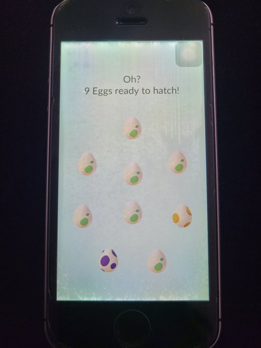 #PokemonGO 🤫 https://t.co/fLeFFNPc61<a href="/tag/pokemongo"class="tags">#PokemonGO</a>