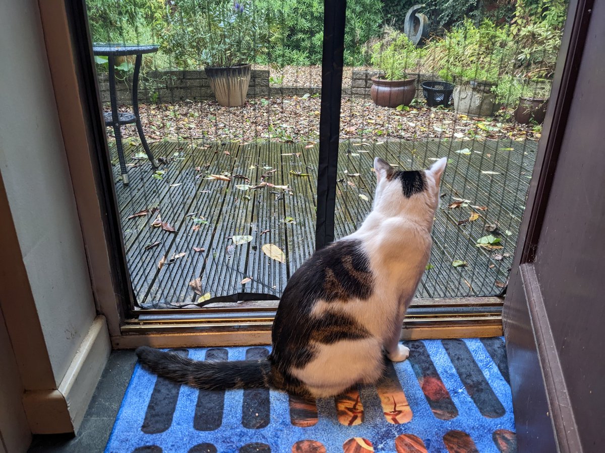 hann0ir's tweet photo. #octoberphotoaday day 1 Hello October 🎃 https://t.co/Smk5nk6eJu