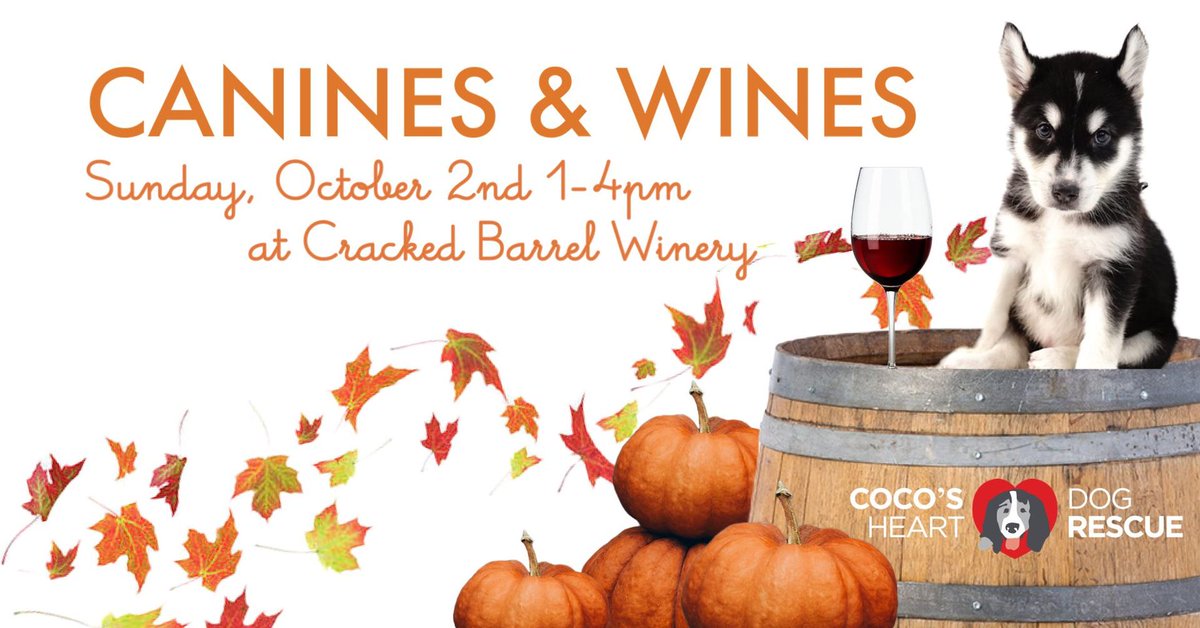 Join us tomorrow for our Fall Canines and Wines at Cracked Barrel Winery in Hudson! We will have adoptable dogs, Fall Bake Sale, Coco's Heart Merchandise, Raffle Baskets, and WINE!