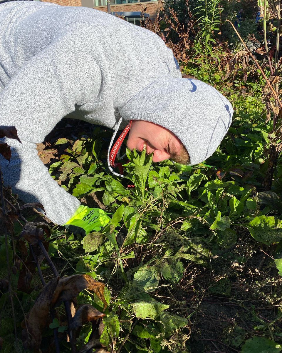 ATΩ Rose-Hulman tweet media