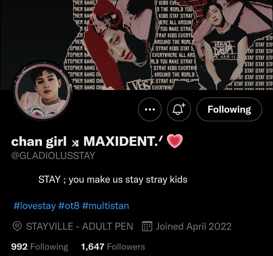 FabLilCutie's tweet photo. @GLADIOLUSSTAY @Stray_Kids thank you for this ga 💕 https://t.co/IJmXev04LP
