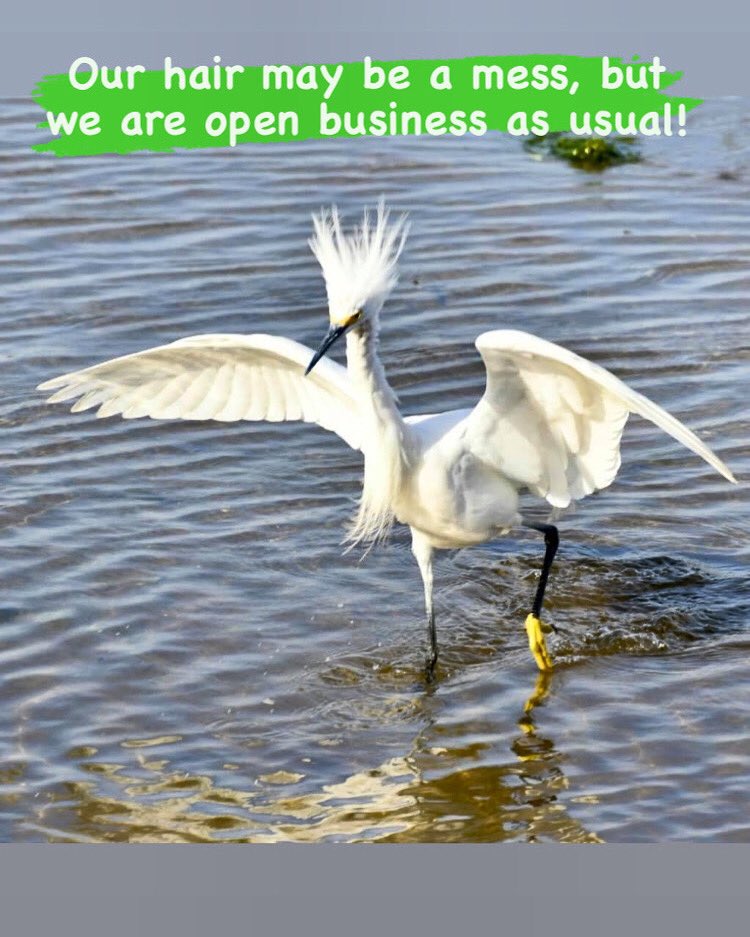 ProfessorHacker's tweet image. Our courses in North Myrtle Beach, SC and Salter Path, NC are open today, normal business hours…10 am - 10 pm.