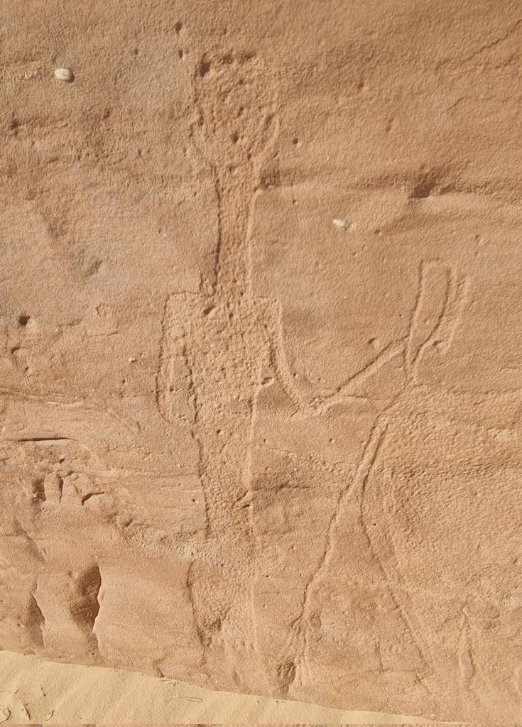 AlwailyMohammad's tweet photo. Rock Art 
From Alula https://t.co/shmb2gFoWd