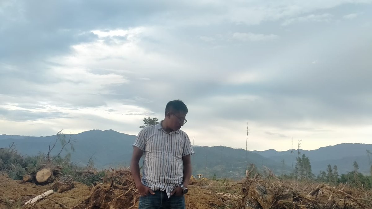 psjohnlongkhaye's tweet photo. @NBirenSingh @mnreindia @nss_rdguwahati @_NSSIndia @mygovindia the sad part of unsustainable development.Very sad to see 40-50 years the dreams of pines planters and very sad to see my childhood resting place after a long walk or journey from my village to maram, being shatered. https://t.co/UFdvxHqmWX