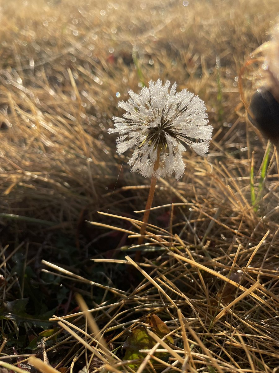 Red Socks Go With Absolutely Anything tweet media