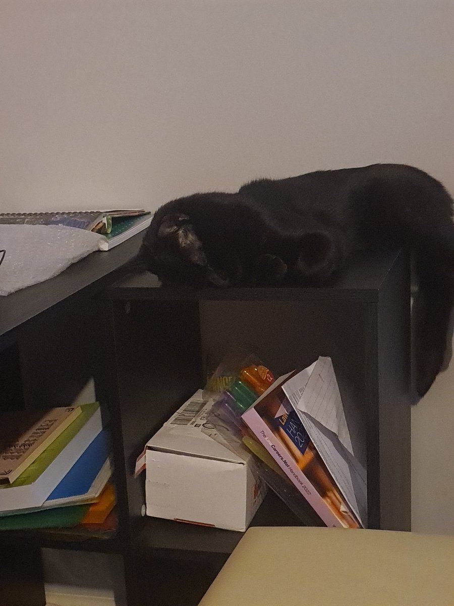 chloederrick21's tweet photo. All summer the kitten has been laying on my desk... studying has recommenced and he's clinging on to the end of the desk for as long as possible 🤣 @OpenUniversity #LawSchool #oufamily https://t.co/zmFofe2dMS