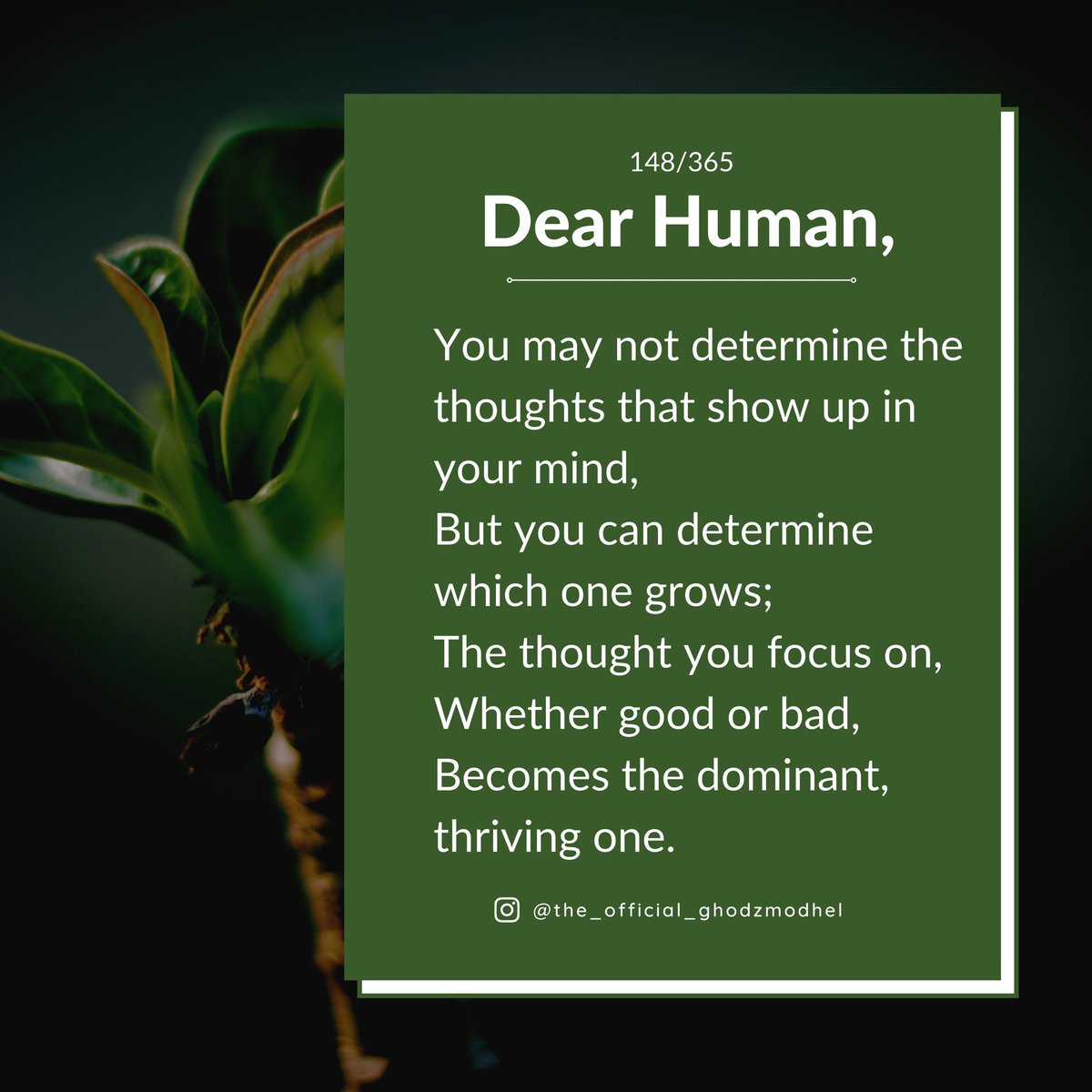 DearHuman365's tweet photo. Dear human, feed your focus; grow the right thoughts.
#ghodzmodhel #dearhuman #thoughts #focus #mind #feedyourfocus #lifestyle #learning #dailymotivation #journal https://t.co/Tt0hekpLV2