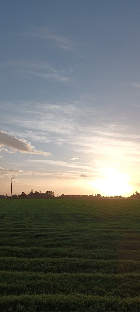 Warreghes's tweet photo. Mooi weer wervik 18:56u #vrtweer #vtimenen https://t.co/fjw9cjNkVD