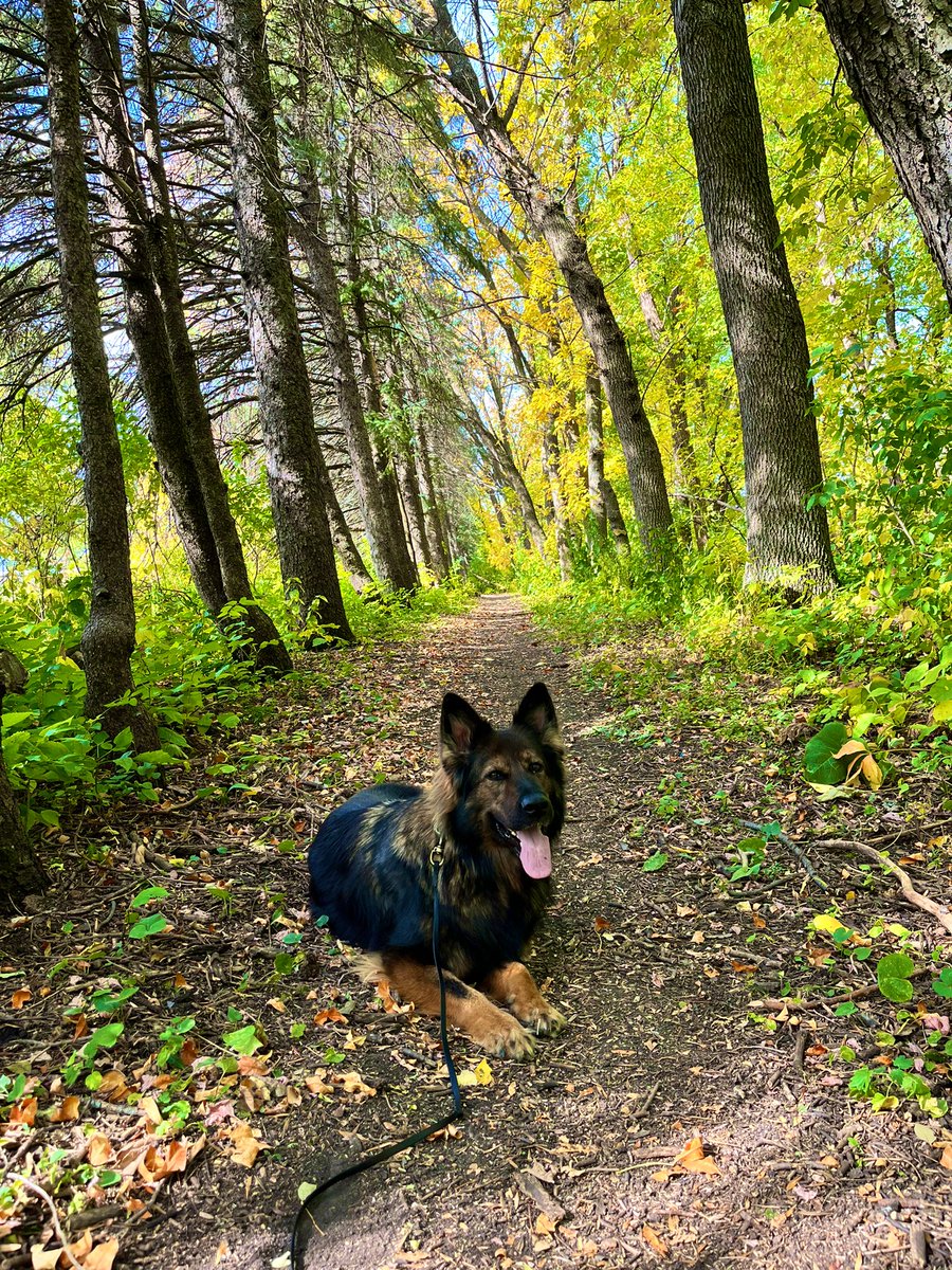 Saturdays are for the girls (and the parks) 🌲☀️#FargoParks