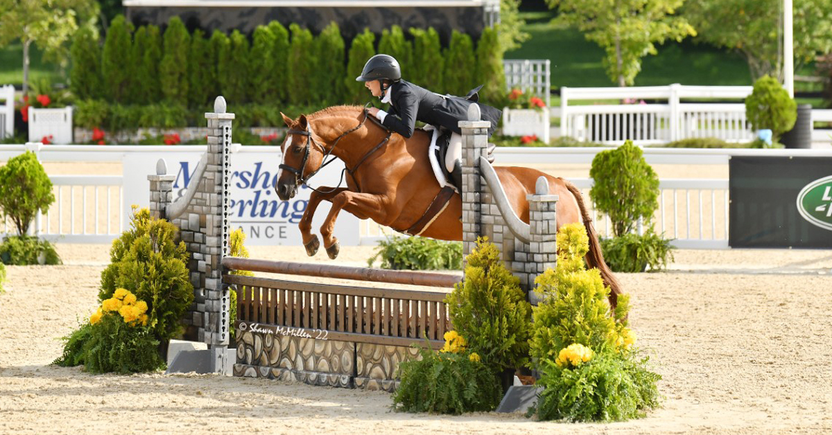 HorseSport_mag's tweet photo. Rocking the Pony Final on Twinkle Toes
Alberta teen Trinity Hall made her first Pony Final at the Kentucky Horse Park memorable, bringing home a Reserve Championship. #PonyFinals #horses #Canadianriders
https://t.co/IqigivaSSL https://t.co/KyZKPe1vft