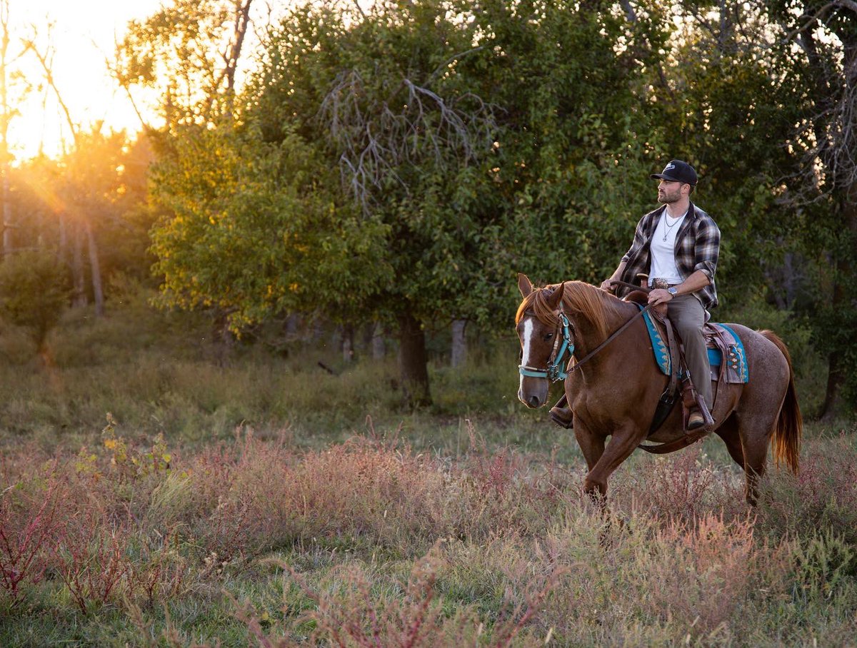 Steven McBee on Twitter: "Golden hour"