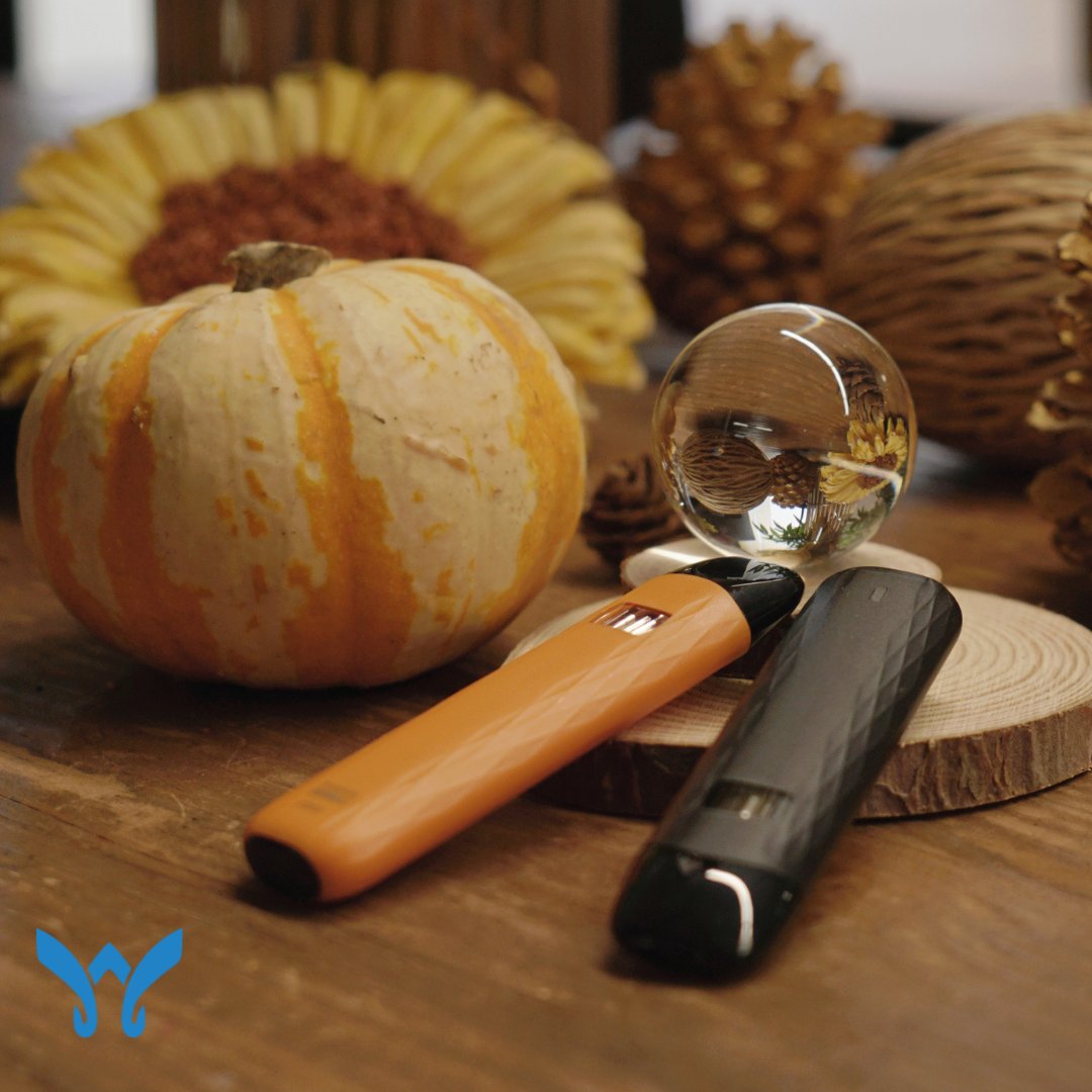 3Win_Corp's tweet photo. Welcoming October with @ccellofficial. 🍂
#Poché #Ccelldistributor #ccellbattery #ccellpoche #3win #happyoctober #october1st #cannabiscommunity #vapecommunity #vapehardware #vapedistributor https://t.co/c9cI7updXy