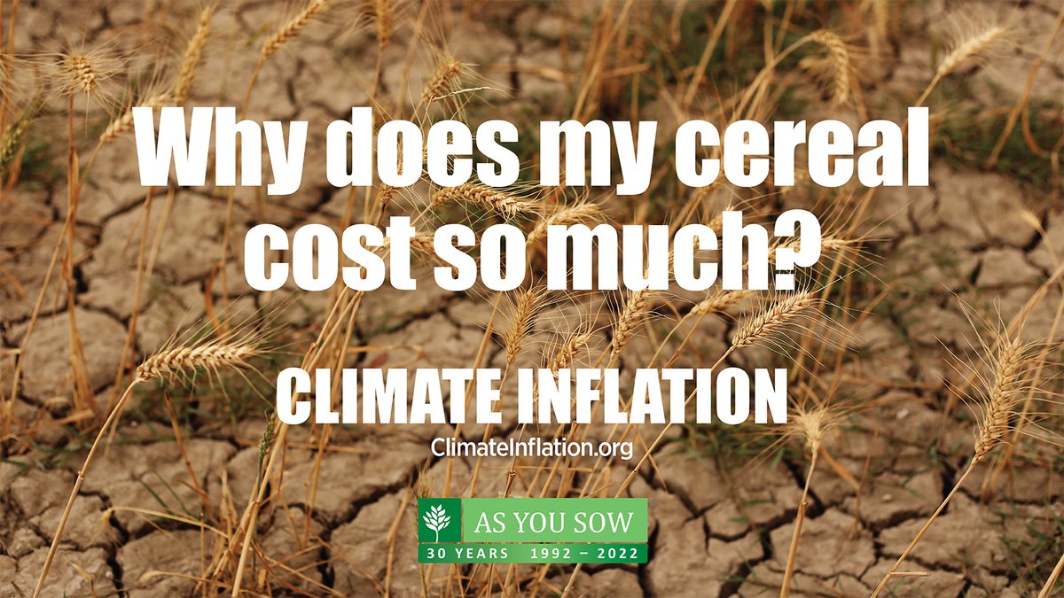 andrewbehar's tweet image. #ClimateInflation has caused prices to soar for bread, butter, coffee, rice, olive oil, eggs, and more. Because many American have yet to make the direct connection between #ClimateChange and grocery bills, As You Sow launched Climateinflation.org