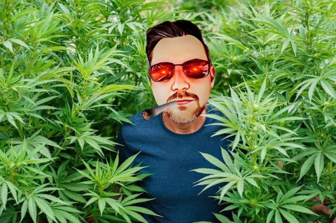 BitGeneral tweet media