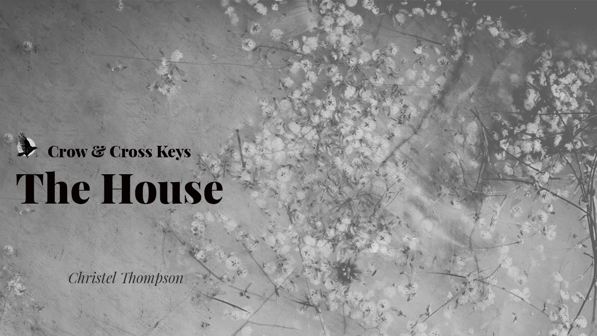 Crow & Cross Keys | SUBS OPEN tweet media