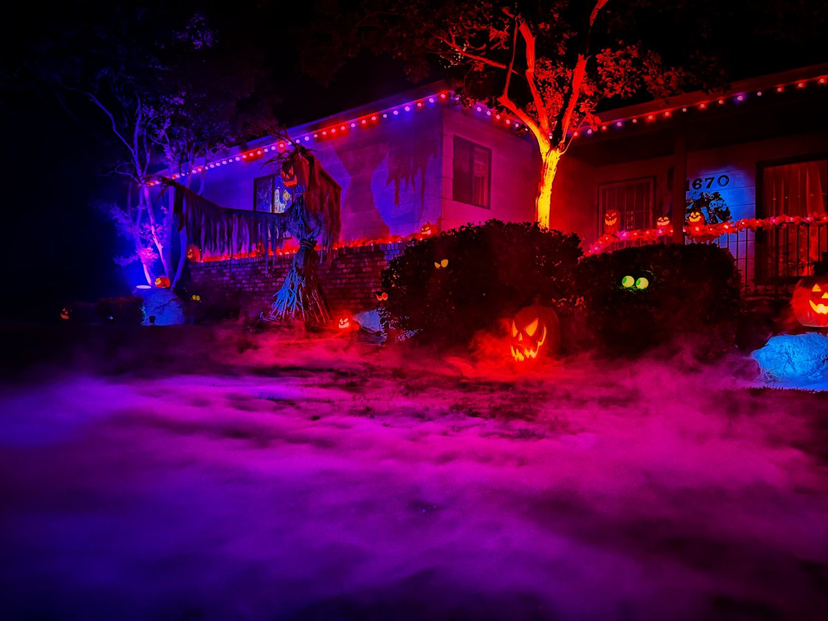 WitchingAuer's tweet photo. Happy October 1st! 🎃 #Halloween https://t.co/9L2gMWKmB6