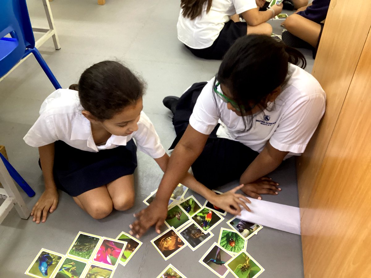 BSM Year 5 tweet media