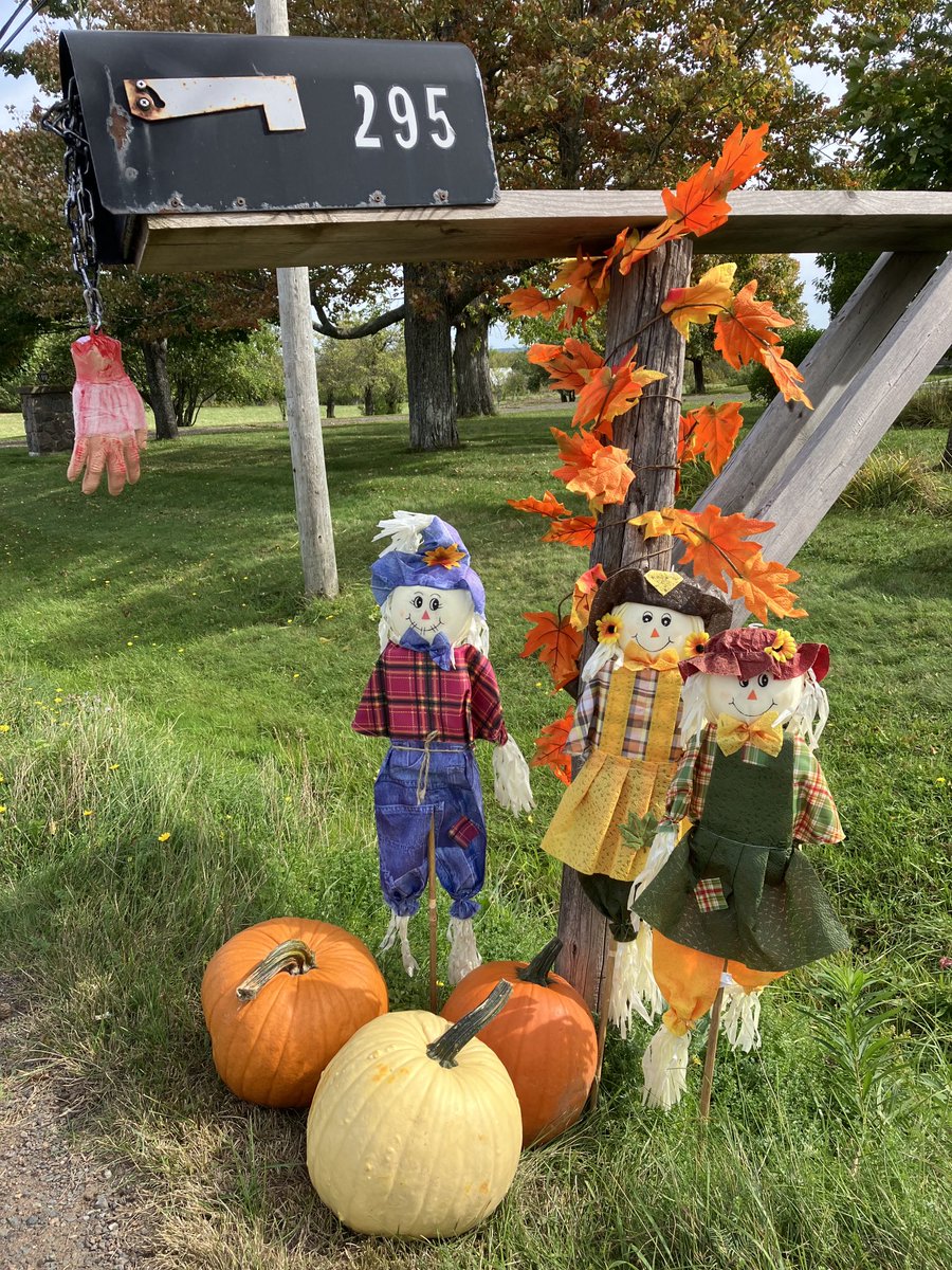 Un peu de déco pour remercier le facteur! #octobre #automne #Fall2022 #Canada