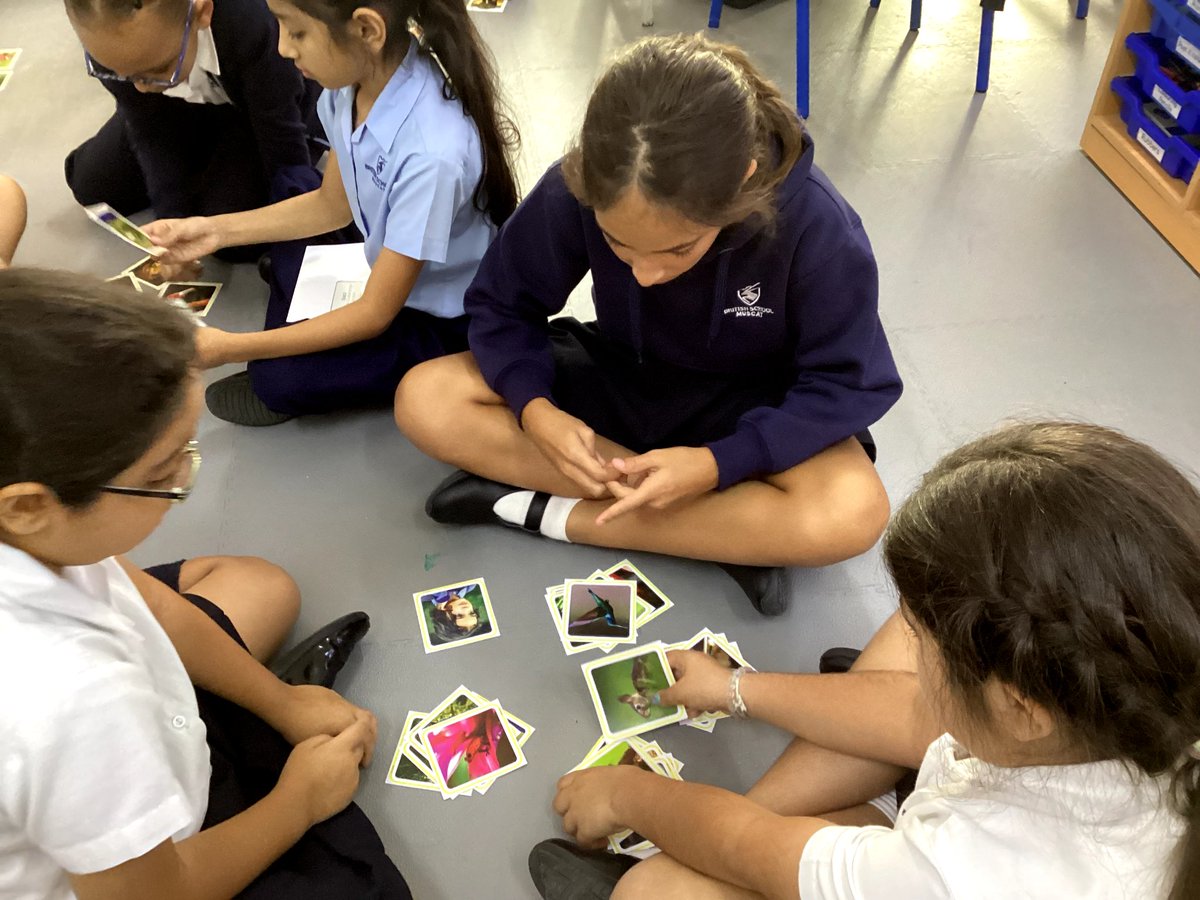 BSM Year 5 tweet media